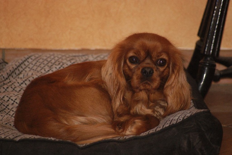 Loo du Confin de la Nied